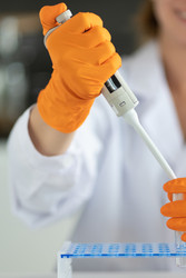 Zyagen Cat Total RNA